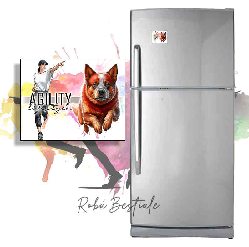 AGILITY Lifestyle Magnet - AUSTRALIAN CATTLE DOG Red - Design "GIRL" or "BOY"