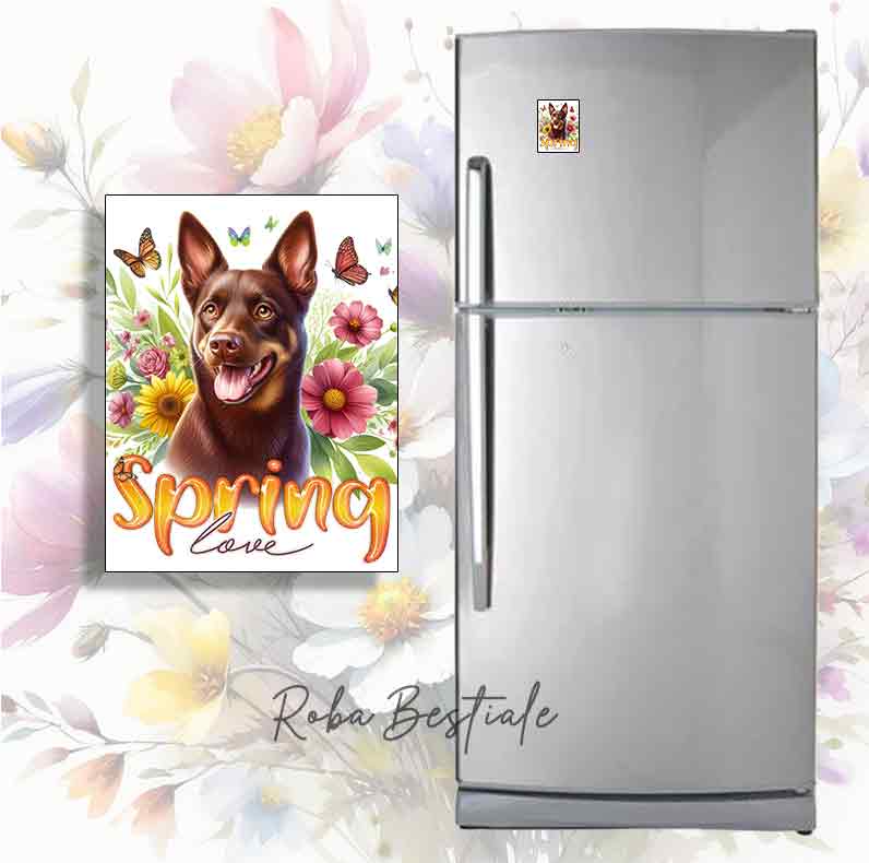SPRING LOVE magnet - AUSTRALIAN KELPIE Chocolate