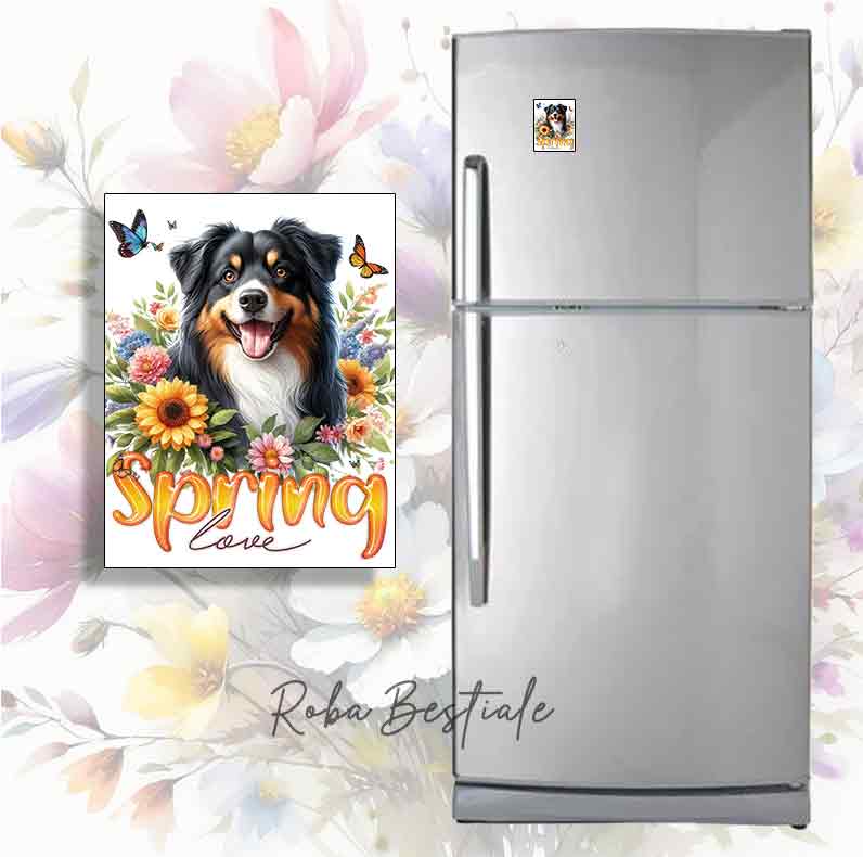 SPRING LOVE Magnet - AUSTRALIAN SHEPHERD Black Tricolor