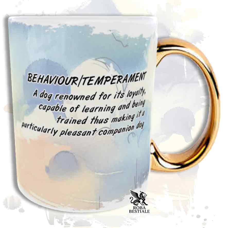DOODLE mug - AMERICAN AKITA