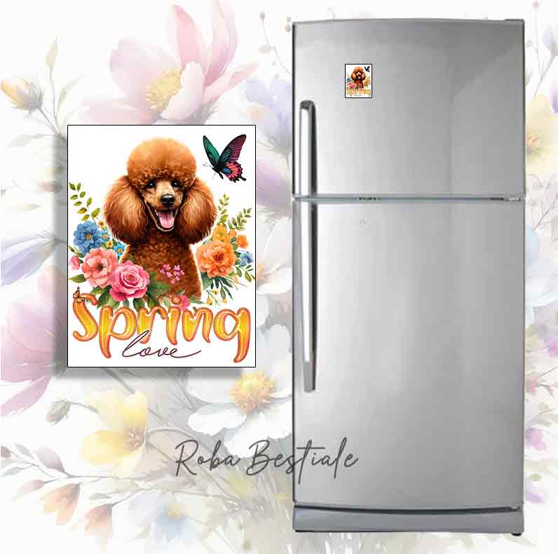 Magnete SPRING LOVE - BARBONE Albicocca