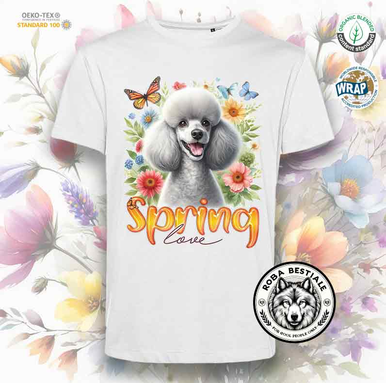 T-Shirt SPRING LOVE - BARBONE Silver