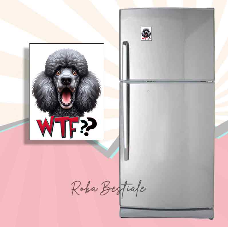 Magnet WTF?? - BARBONE Silver