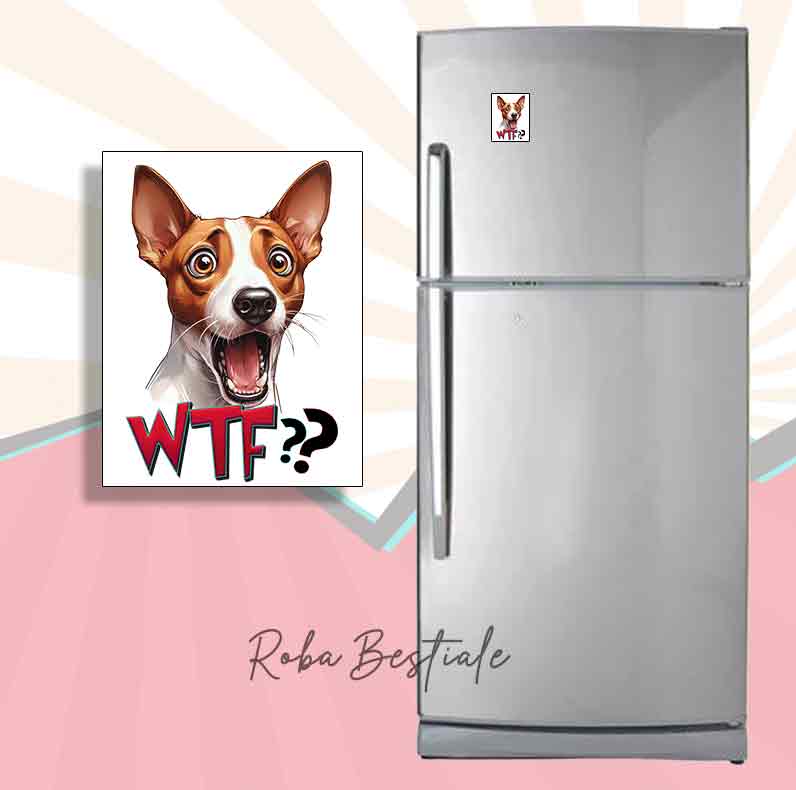 Magnete WTF?? - BASENJI