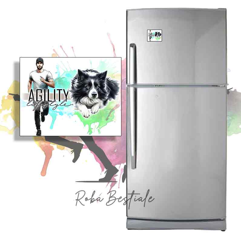 AGILITY Lifestyle Magnet - BORDER COLLIE Black & White - Design "GIRL" or "BOY"