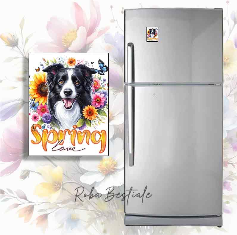Magnete SPRING LOVE - BORDER COLLIE Bianco & Nero