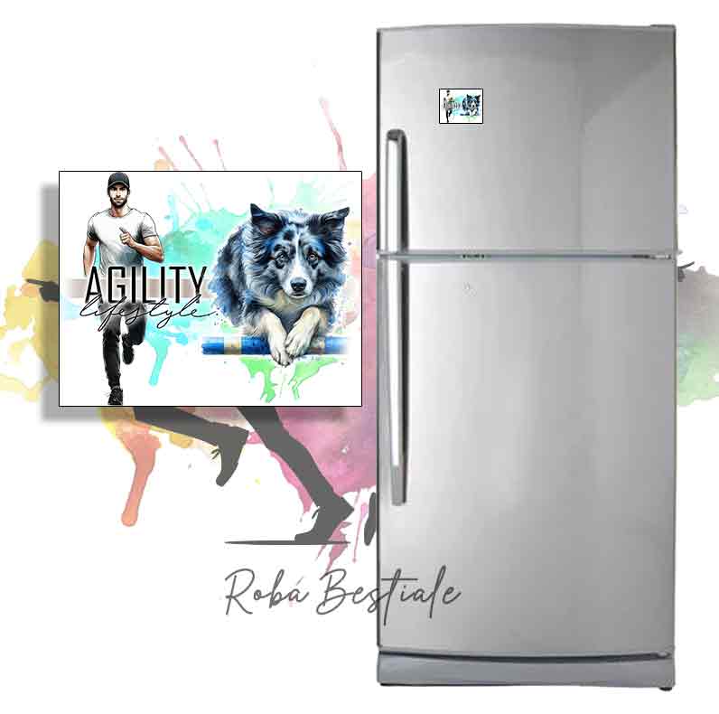 AGILITY Lifestyle Magnet - BORDER COLLIE Blue Merle - Design "GIRL" or "BOY"
