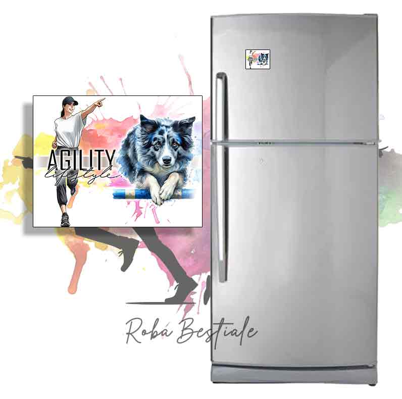 AGILITY Lifestyle Magnet - BORDER COLLIE Blue Merle - Design "GIRL" or "BOY"