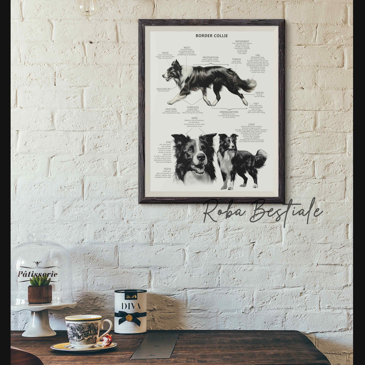 STANDARD Print - BORDER COLLIE Black & White - With wooden frame
