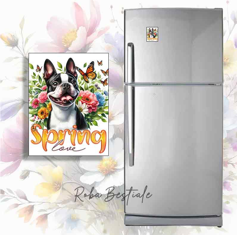 Magnete SPRING LOVE - BOSTON TERRIER Bianco & Nero