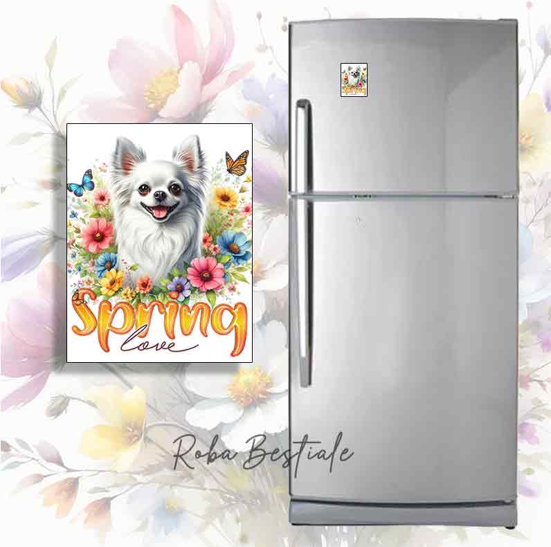 Magnete SPRING LOVE - CHIHUAHUA a Pelo Lungo Bianco