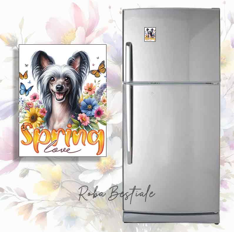 Magnete SPRING LOVE - CHINESE CRESTED DOG Hairless