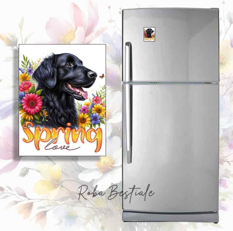Calamita SPRING LOVE - FLAT COATED RETRIEVER Nero