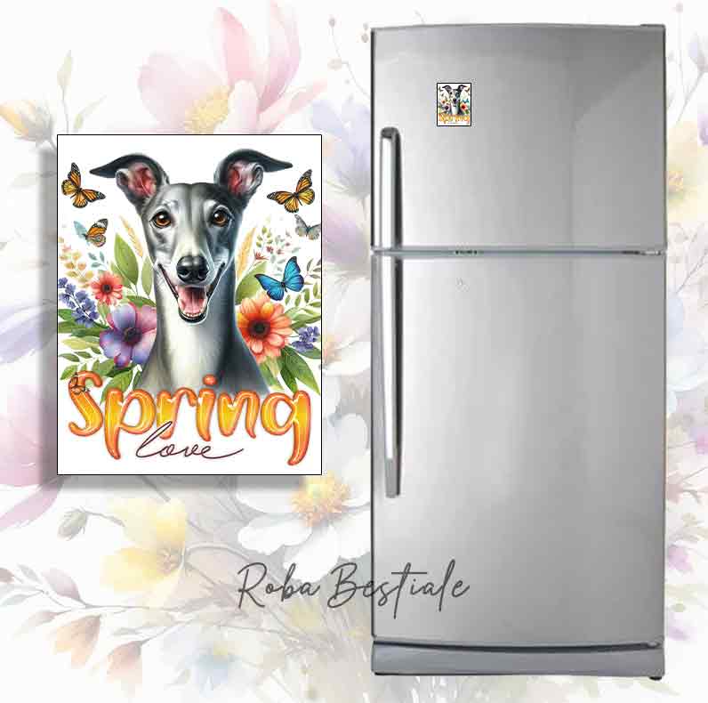 Calamita SPRING LOVE - GREYHOUND Blue & Bianco