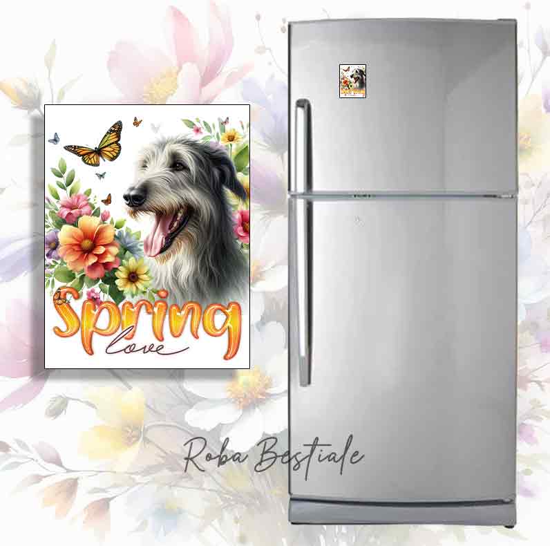 Calamita SPRING LOVE - IRISH WOLFHOUND