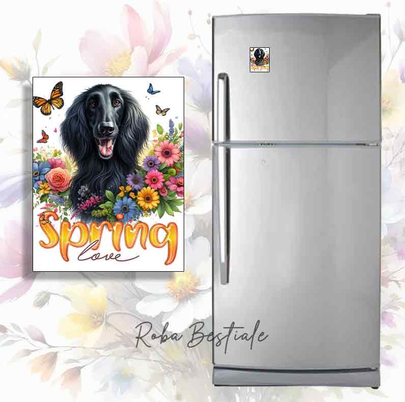 Calamita SPRING LOVE - LEVRIERO AFGANO Nero