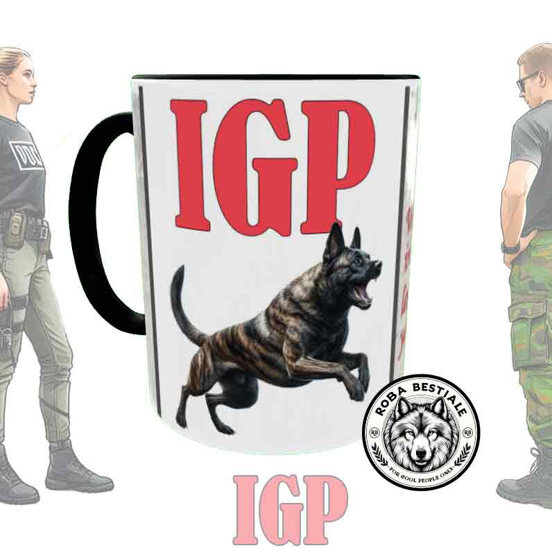 IGP Cup 1 - DUTCH SHEPHERD