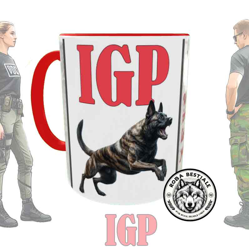 IGP Cup 1 - DUTCH SHEPHERD