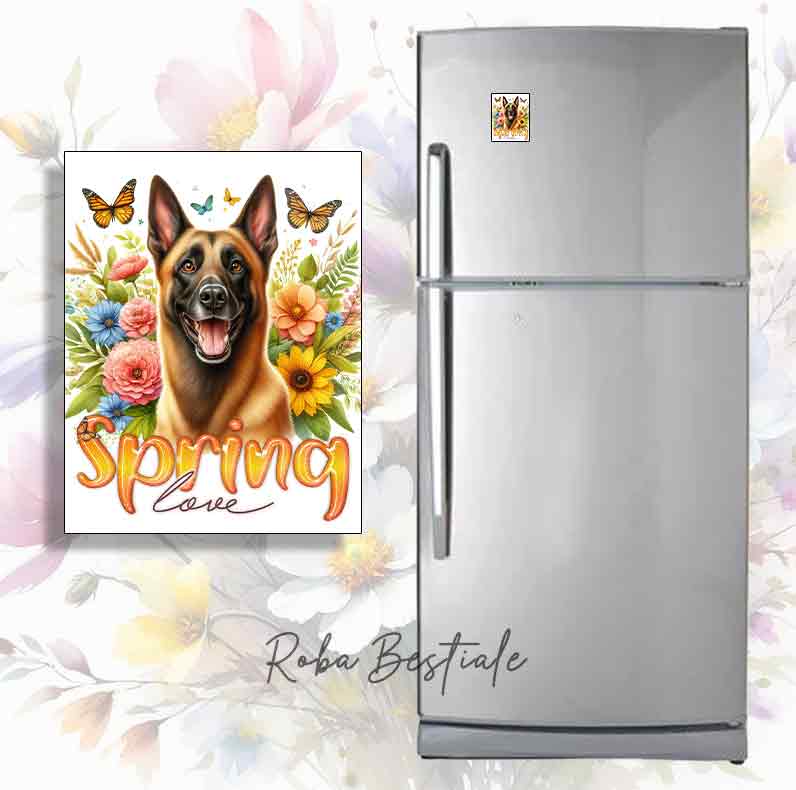 Calamita SPRING LOVE - PASTORE BELGA MALINOIS