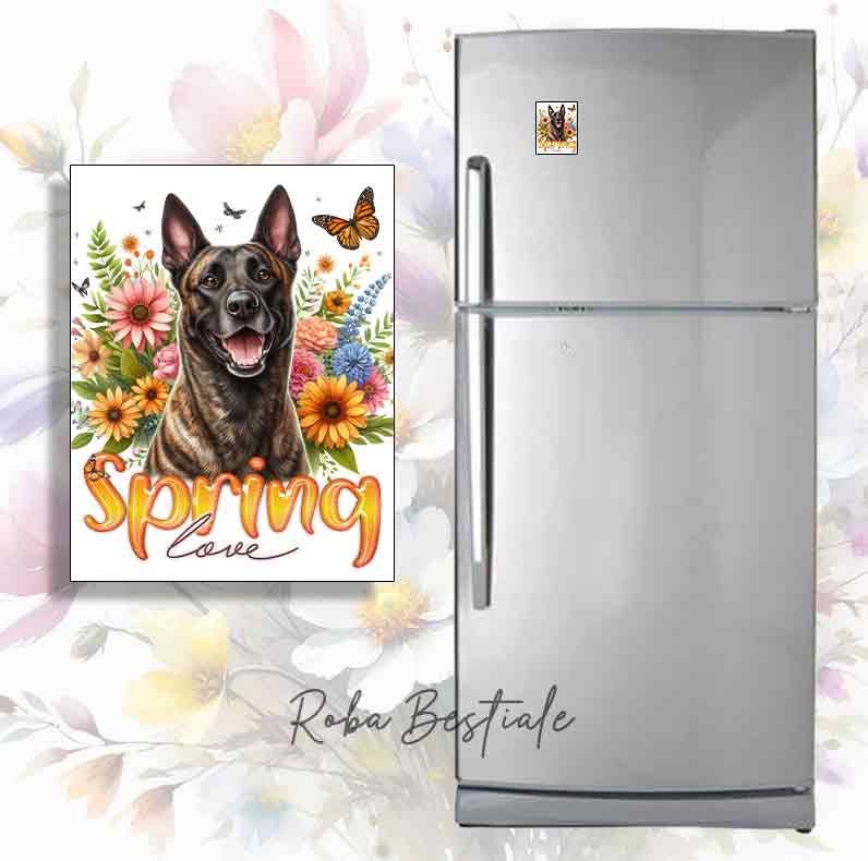 Calamita SPRING LOVE - PASTORE OLANDESE