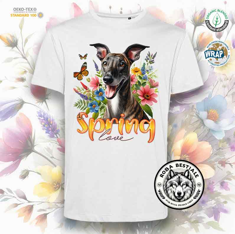 T-Shirt SPRING - PICCOLO LEVRIERO ITALIANO