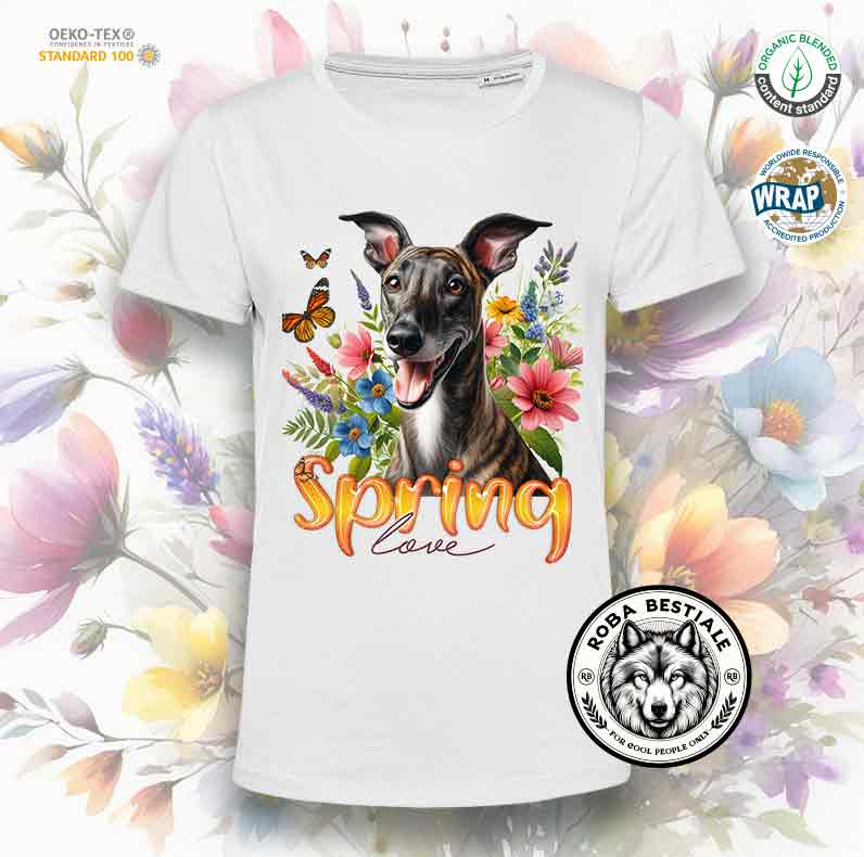 T-Shirt SPRING - PICCOLO LEVRIERO ITALIANO