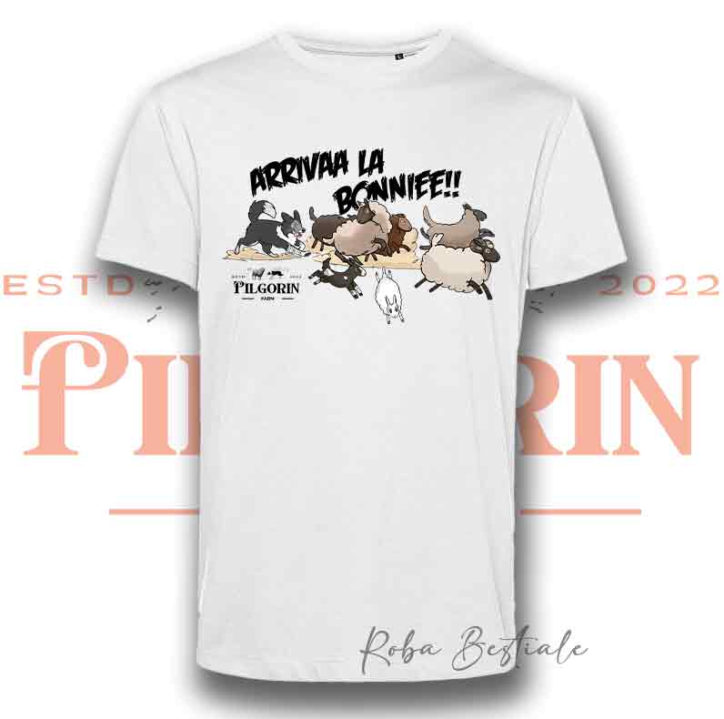 DOODLE T-Shirt - WHIPPET