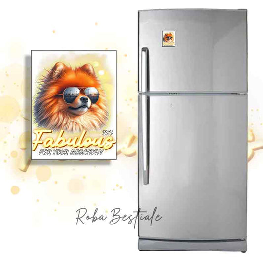 Calamita TOO FABULOUS - SPITZ TEDESCO NANO - POMERANIA Arancio