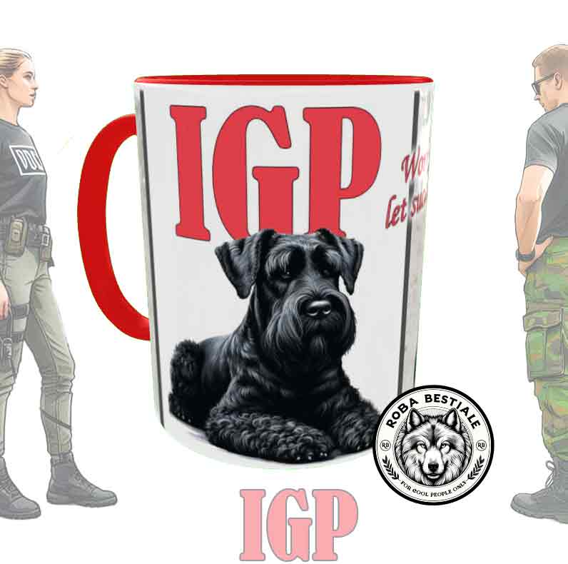 IGP II cup - DUTCH SHEPHERD