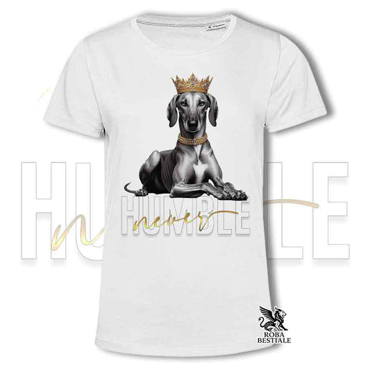 T-shirt stampata con un Azawakh, colore bianco con grafica Never Humble