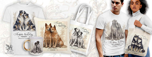 Nuova Collezione: NOBILITY