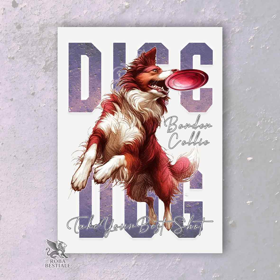 APTITUDE - Disc Dog