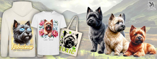 Cairn Terrier
