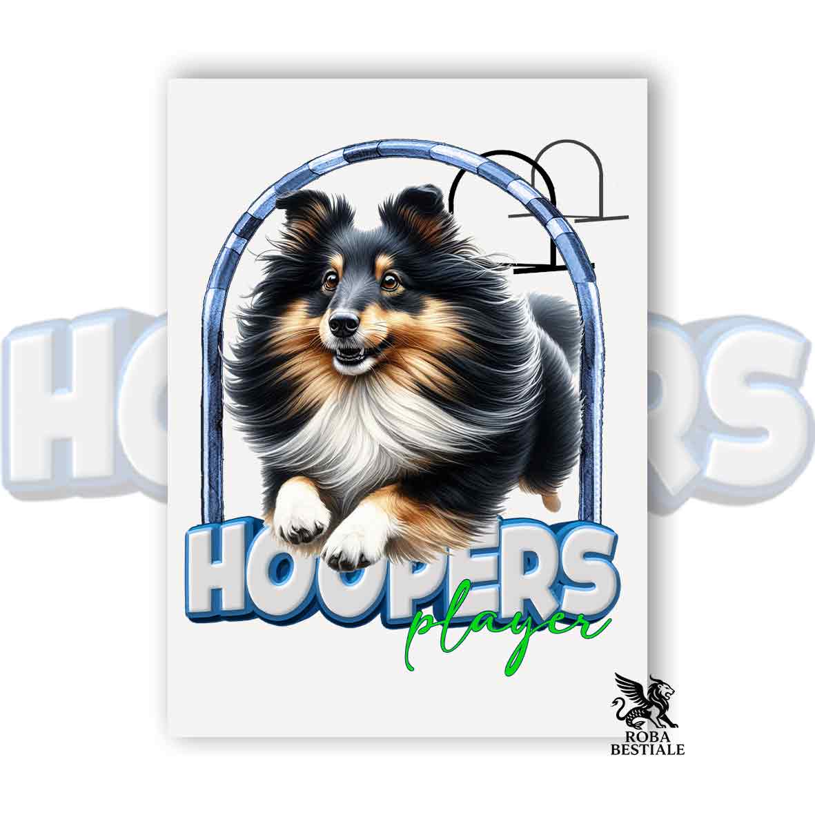 HOOPERS Player