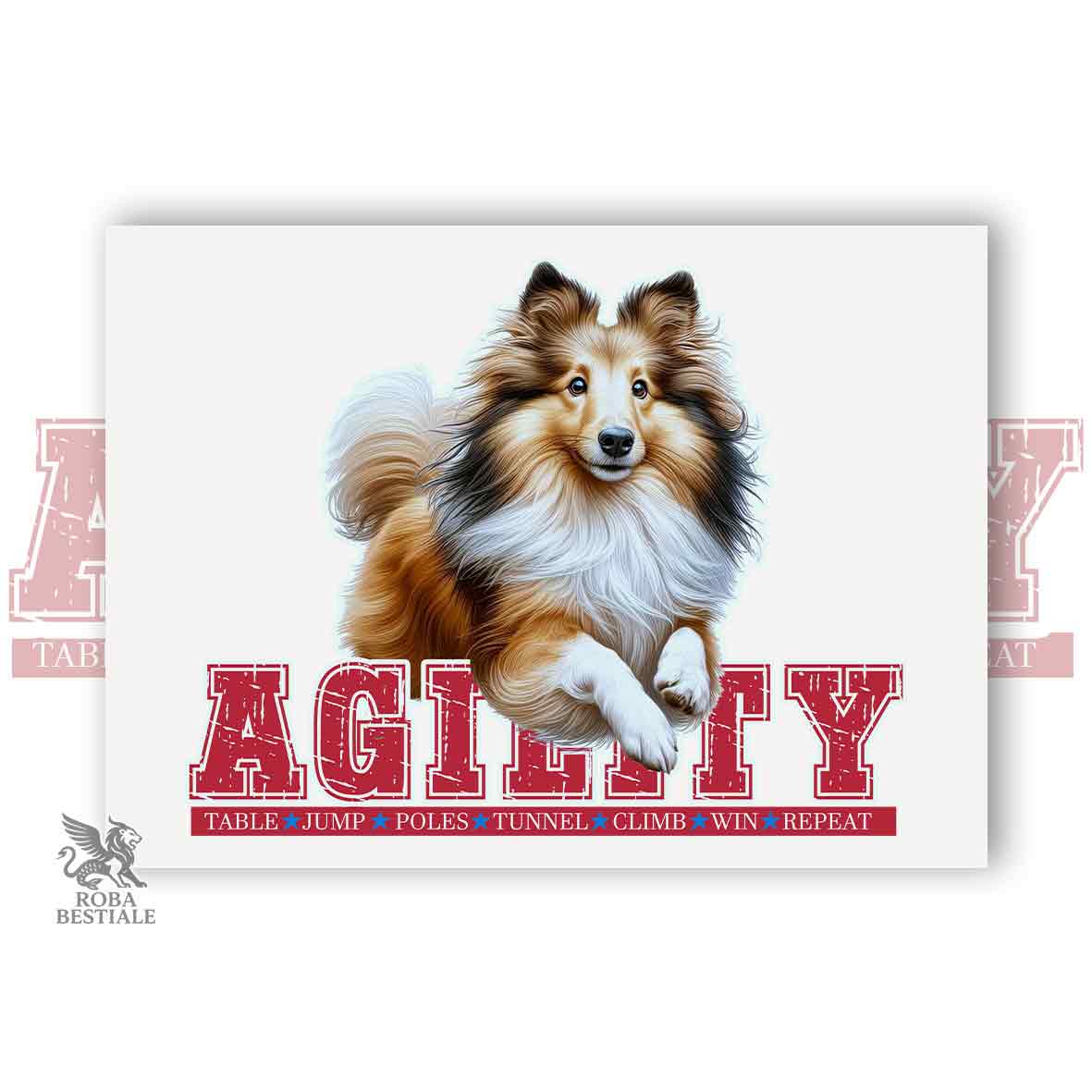 AGILITY PATH
