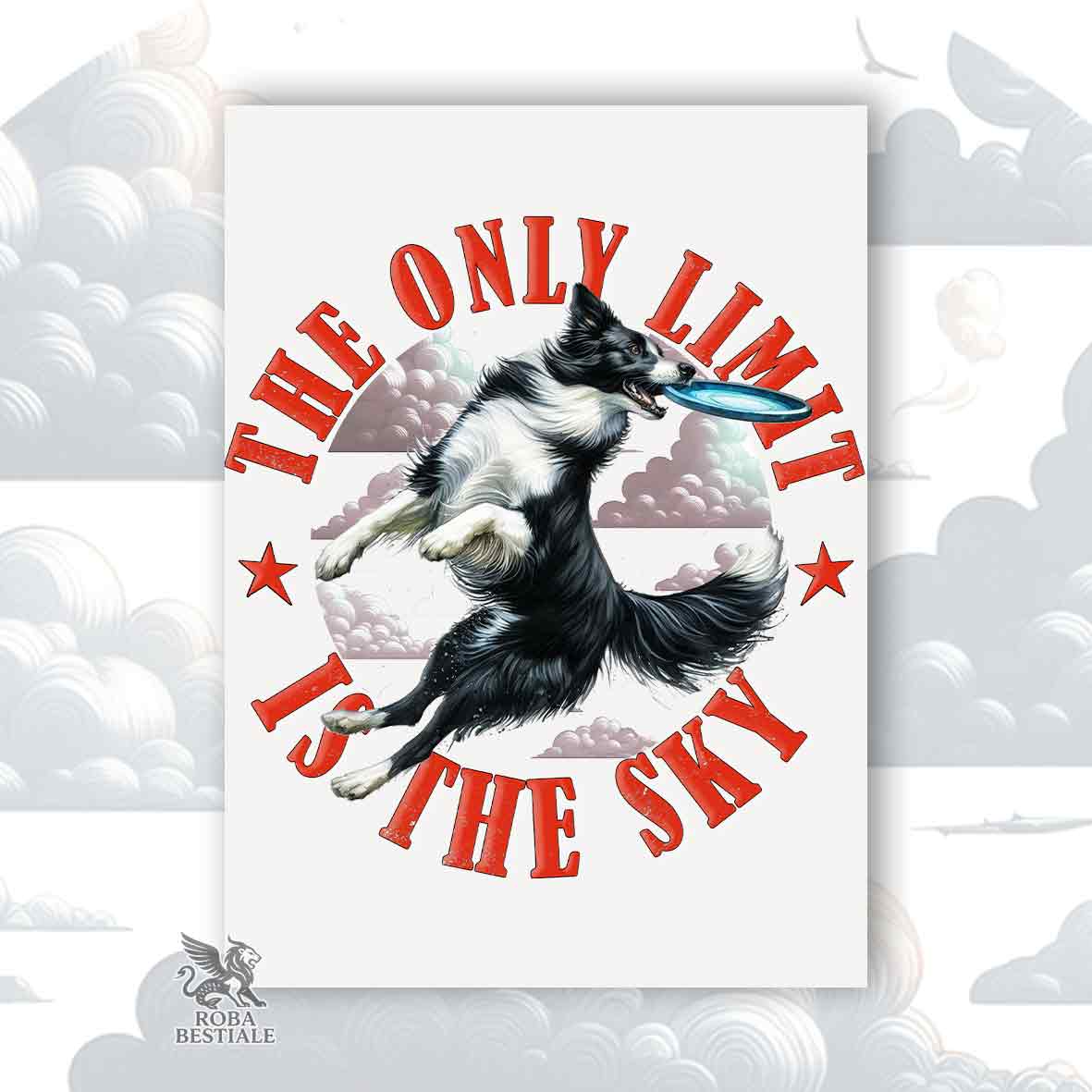 DISC DOG Sky Limit
