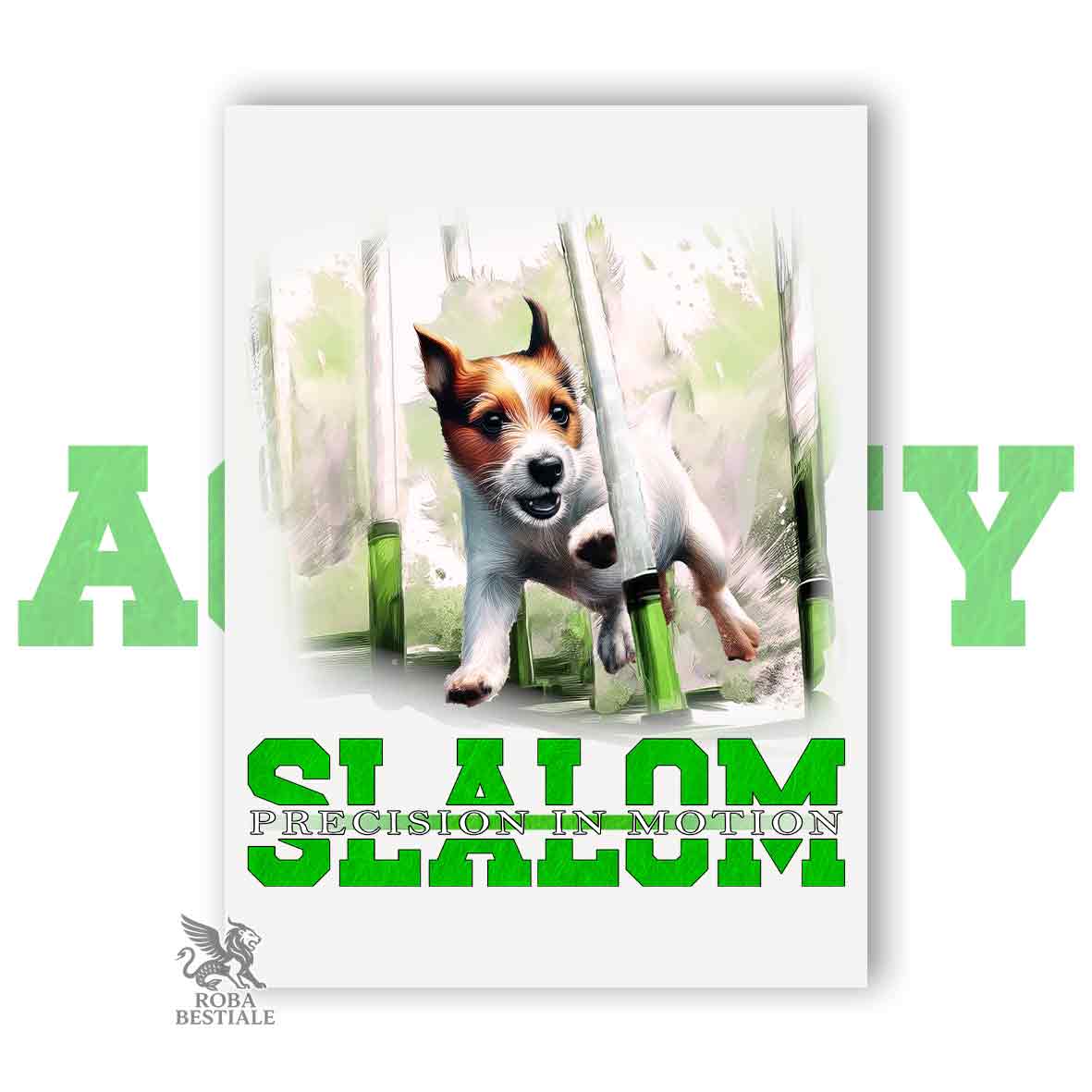 AGILITY SLALOM
