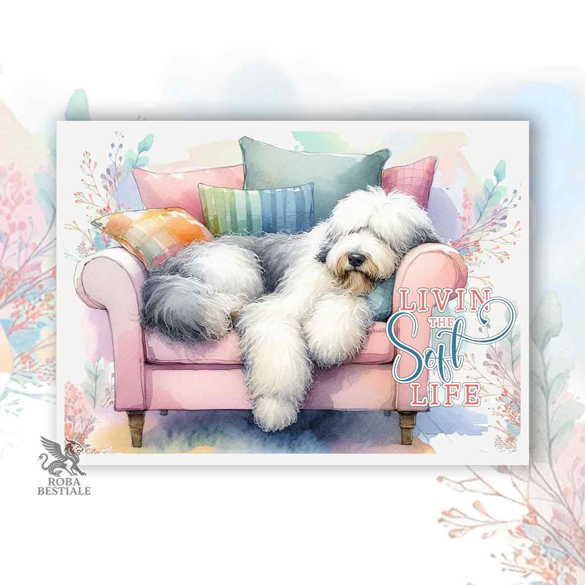 SOFT LIFE