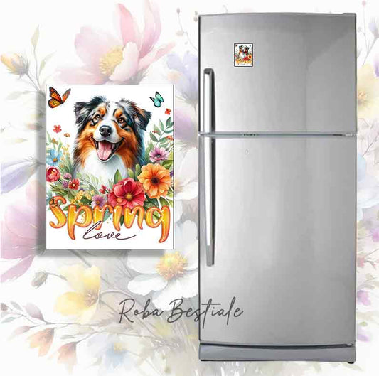 Magnete SPRING LOVE - AUSTRALIAN SHEPHERD Blue Merle