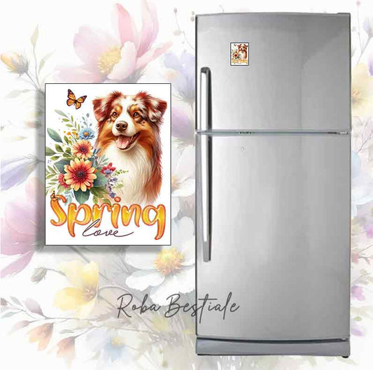 Magnete SPRING LOVE - AUSTRALIAN SHEPHERD Red Merle