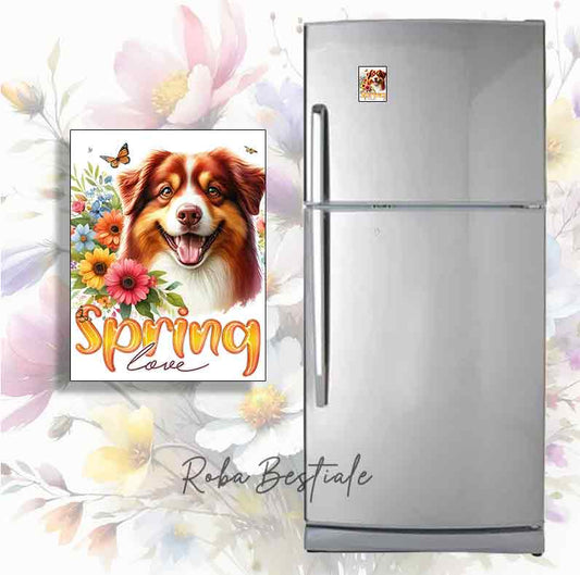 Magnete SPRING LOVE - AUSTRALIAN SHEPHERD Red Tricolor