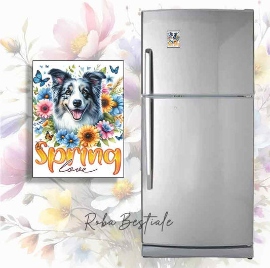 Magnete SPRING LOVE - BORDER COLLIE Blue Merle