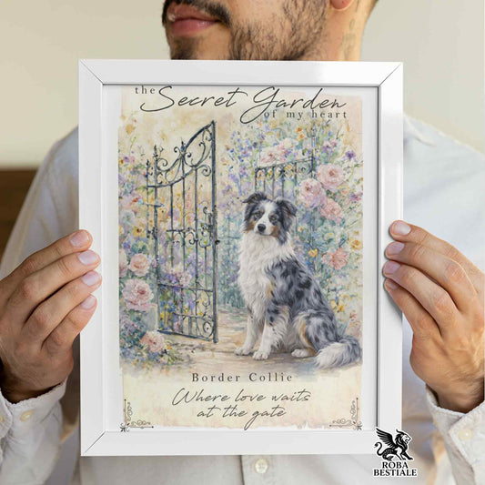 Quadretto SECRET GARDEN - BORDER COLLIE Blue Merle - Con cornice in legno, formato A4