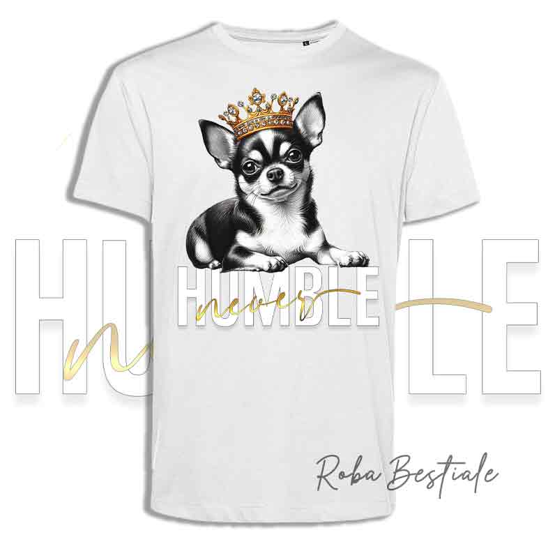 T-shirt NEVER HUMBLE - CHIHUAHUA a Pelo Corto - Tricolor