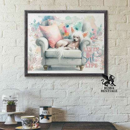 Quadretto SOFT LIFE - CHINESE CRESTED DOG Hairless Bianco - Con cornice in legno, formato A4