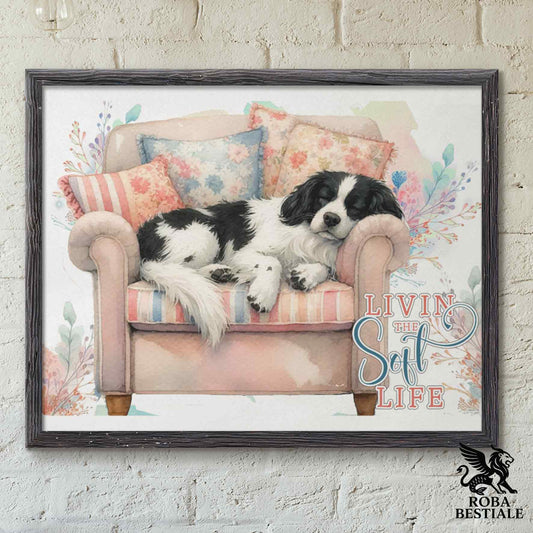 Quadretto SOFT LIFE - EPAGNEUL BRETON Bianco e Nero - Con cornice in legno, formato A4
