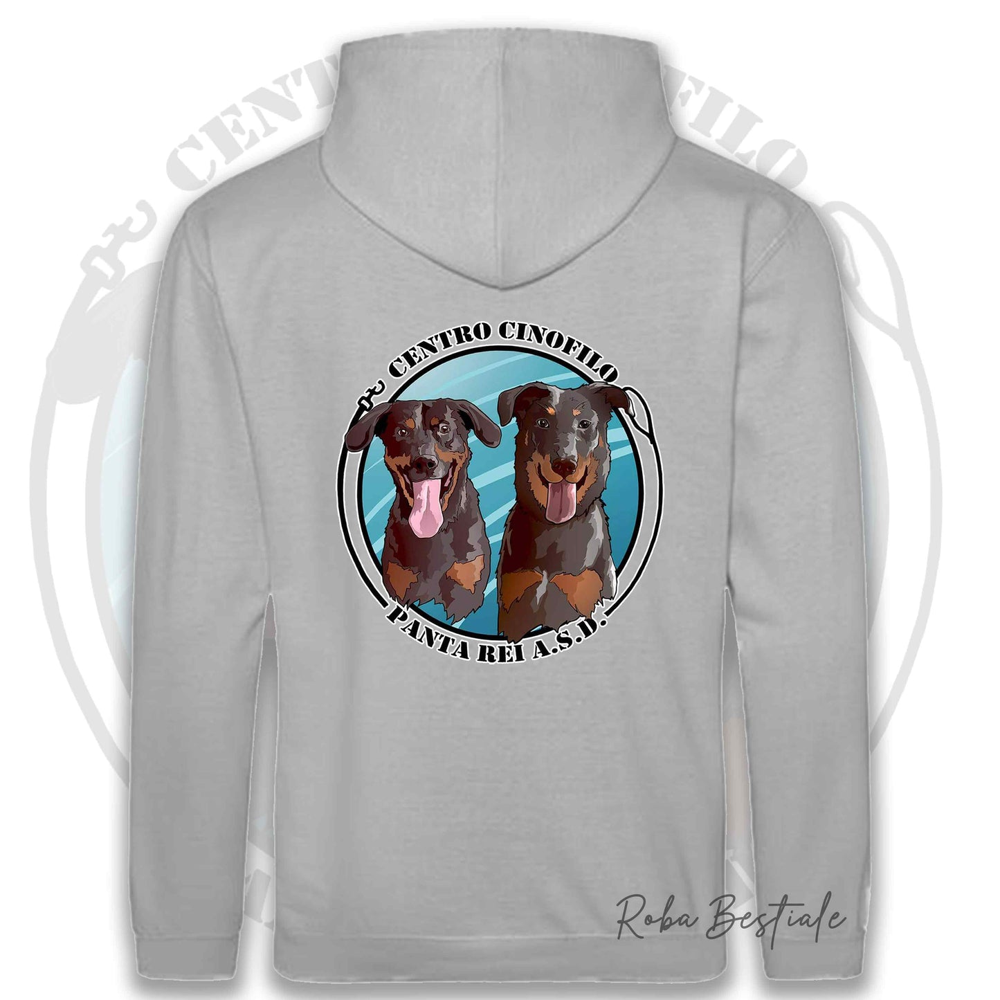 Felpa PANTA REI asd - GRIGIA - Con Cappuccio e Tasconi - dalla XS alla 5XL