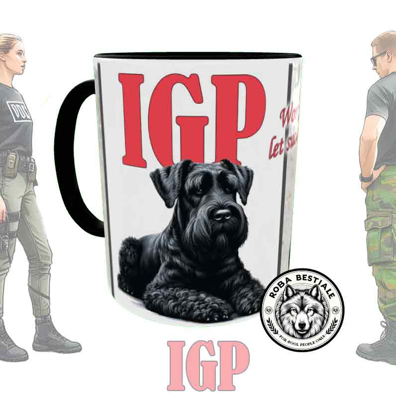 IGP II cup - DUTCH SHEPHERD