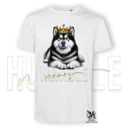 T-shirt stampata con Alaskan Malamute, colore bianco con grafica Never Humble