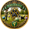 Treibball
